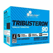 Triboosteron Olimp